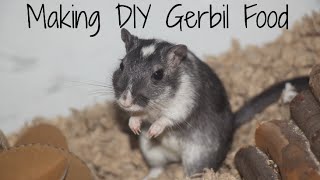 Making DIY Gerbil Food [upl. by Victoir]