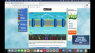 Bioman Cell Defense The Plasma Membrane [upl. by Dnalrag]