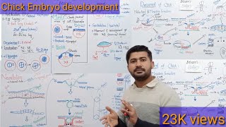 Development of Chick complete lecture Fsc biology class 12 [upl. by Irrab678]