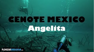 Best Diving Cenote Mexico Angelita  Plongee Cenote Angelita Mexique [upl. by Ahsemac128]