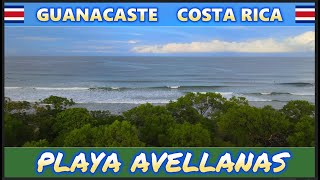 PLAYA AVELLANAS [upl. by Kellen]