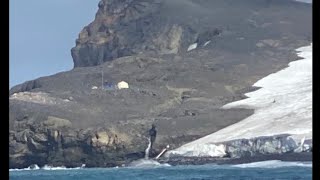 Bouvet island compilation [upl. by Alled]