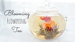 Blooming Tea Timelapse  Mothers Day Gift Idea  Mini Giveaway [upl. by Nilyam]