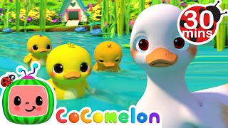 Five Little Duckies 30 MIN LOOP  Animal Songs For Kids [upl. by Anilave806]