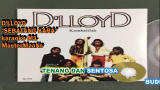 DLLOYD  SEBATANG KARA KARAOKE M1 [upl. by Llerahs]