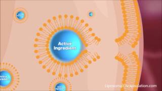 Liposomal Encapsulation Technology [upl. by Heriberto]