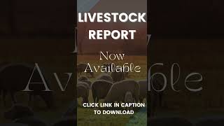 Livestock Report [upl. by Alletsyrc]