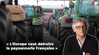 « LEurope veut détruire la paysannerie française »  le soutien de Michel Onfray aux agriculteurs [upl. by Einneg731]