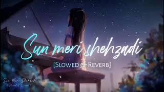 Sun meri shehzadi  Slowed Down amp Reverb  Saaton Janam Mein Tere  Night Song [upl. by Irok]