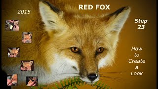 Step 23 Red Fox  How to Create a Look The Head [upl. by Ahsina]