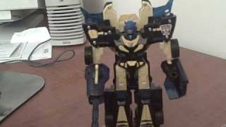 Botcon 2008 quotShattered Glassquot Goldbug [upl. by Tracie]