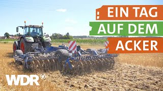 Annis Leben als Landwirtin  neuneinhalb – Deine Reporter  WDR [upl. by Llertrac]