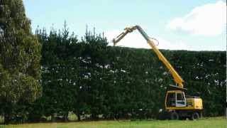 Tree  Shelter belt Trimming Hororata Canterbury New Zealand [upl. by Pammi]