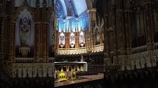 Basilique NotreDame de Montreal canada 🇨🇦 [upl. by Yruam]