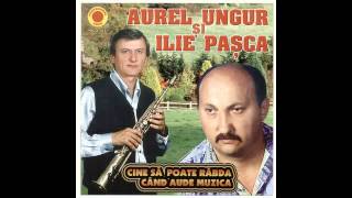 AUREL UNGUR si ILIE PASCA DE O SAPTAMANA BEAU [upl. by Annoirb]