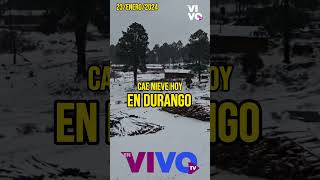 Cae nieve hoy en la Sierra de Durango Al menos se reportan nevadas en comunidades de Guanaceví [upl. by Eutnoj]