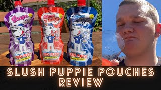 Slush Puppie Pouches Review Mullinators Munchies [upl. by Onitnevuj]