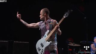 Flea Gets Angry With His Bass Tech [upl. by Mahtal]