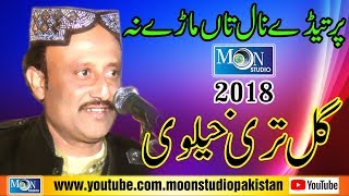 Lokna Kanr Asan Mare Sai  Gul Tari Khelvi  Latest Saraiki Song  Moon Studio Pakistan [upl. by Llacam]