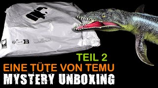 Mystery Unboxing  eine Tüte von Temu  Juni 2024  Teil 2 von 2  Fazit  Meinung  Danke Less [upl. by Nahsab]