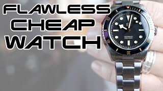 Flawless Cheap quotTudor Black Bay Homagequot San Martin SN004 Review [upl. by Paolina726]