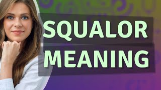 Squalor  meaning of Squalor [upl. by Berkman]