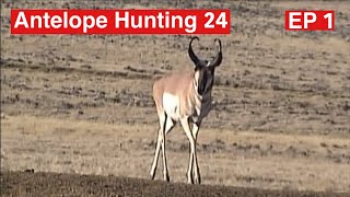 Bowhunting Pronghorn Antelope Part 1 antelope bowhuntingantelope hunting [upl. by Curran444]