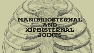 Manubriosternal and xiphisternal joints [upl. by Idaline719]