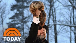 Groundhog Day 2023 Punxsutawney Phil makes his prediction [upl. by Octavus508]