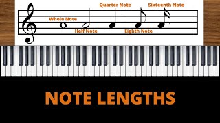 The Different Note Lengths [upl. by Topper317]