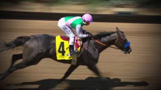 California Chrome Arrogate Lock Up Again in Pegasus World Cup [upl. by Euqinu]