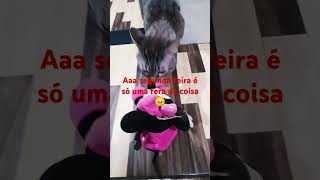 gru oqueavidameroubou minions animal humor agoraequesaoelas [upl. by Yedsnil101]