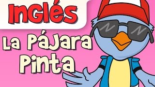 LA PAJARA PINTA canción infantil [upl. by Atniuq]