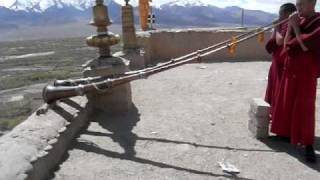 Young monks playing Tibetan horns at Thikse gompa monastery [upl. by Eilis]