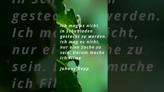 Johnny Depp Das Geheimnis [upl. by Zeuqirdor]