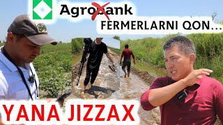 AGROBANK 👎 FERMERLARGA KUN BERMAYAPTIMI KLASTER ISHLAYDIMI [upl. by Bethena575]