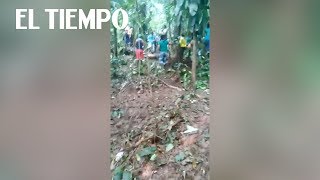 Tiroteo en la zona rural de Tumaco donde resultaron muertas 6 personas  EL TIEMPO [upl. by Armond157]