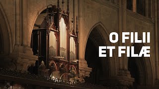 O Filii et Filae — Chant et improvisations [upl. by Dallis75]