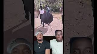 funny comedyvideos challenge memeschallenge funnyshorts laugh subscribe [upl. by Lyon]