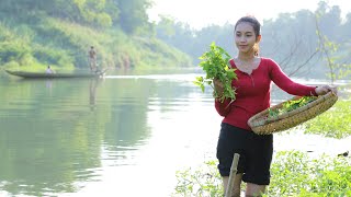 Harvest water convolvulus for food  Polin lifestyle [upl. by Neyr]