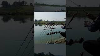 mancing fishing ikan angler blesengmania viralvideo [upl. by Nerrot]