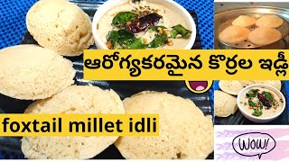 foxtail millet idli recipe  కొర్రల ఇడ్లీ by dharani cooking mania [upl. by Norwood848]