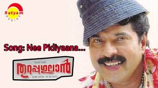 Nee Pidiyaana  Thuruppugulan  Vineeth Sreenivasan  Alex Paul  Kaithapram [upl. by Anitsyrk]