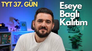 Eşeye Bağlı Kalıtım  39 Günde TYT Biyoloji Kampı  37 GÜN  yks2025 [upl. by Asnerek]