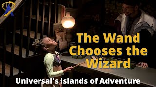 FULL TOUR of The Wizarding World of Harry Potter  Universal Studios Orlando [upl. by Ennahoj]