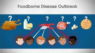 Foodborne Outbreak Investigation What does an epidemiologist do [upl. by Ulphi20]