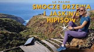 5 Smocze drzewa i jaskinie hipisów 🐉👣 La Palma Wyspy Kanaryjskie 🔭🏝️🌋 [upl. by Yelak]