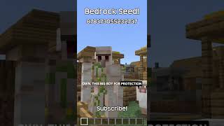 This Minecraft Bedrock Seed Has A Village That Wants To Get Colonized [upl. by Eeslek]