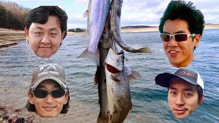 EATING LAKE TROUT Catch n Cook with the Asian Invasion ft ExtremePhillyFishing [upl. by Lleznov]