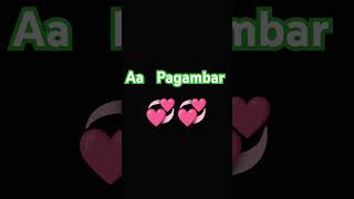 Aa Paigambar 💞💞💞 [upl. by Shwalb]